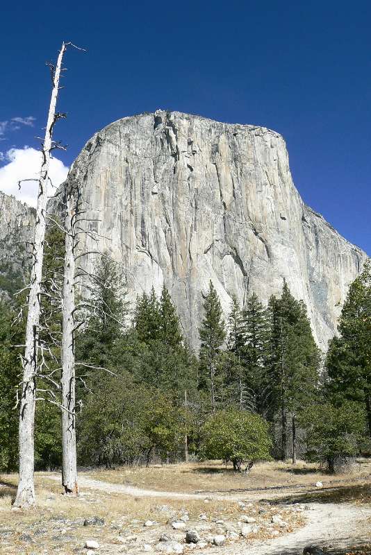 04 Yosemity National Park